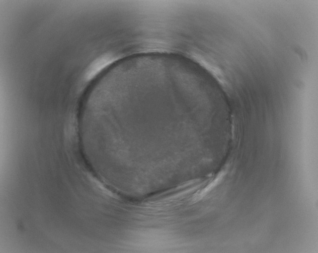 X0000115301453200911231259