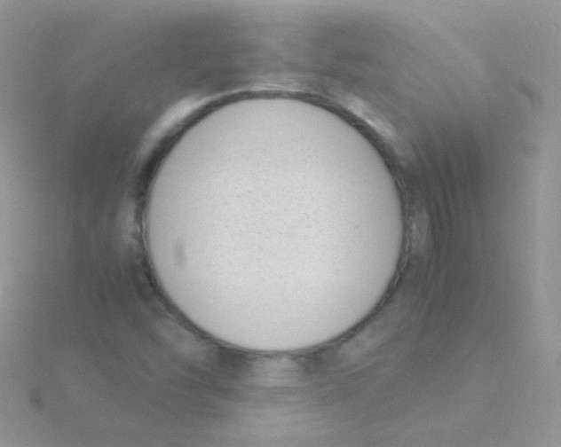 X0000115301454200911231259