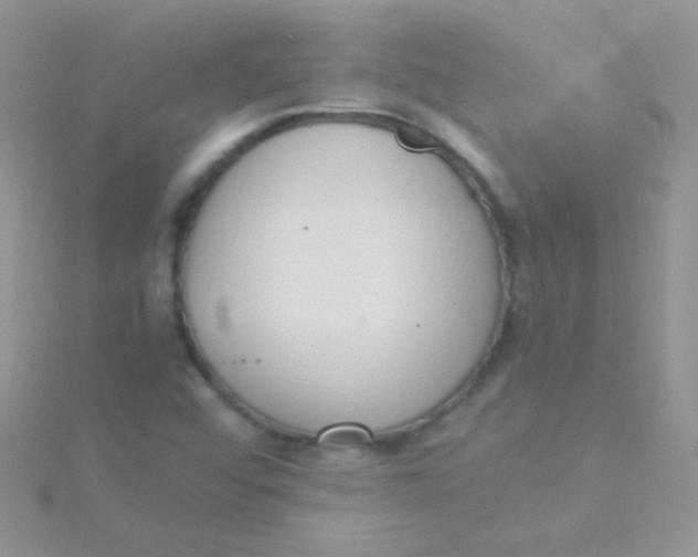 X0000115301456200911231259