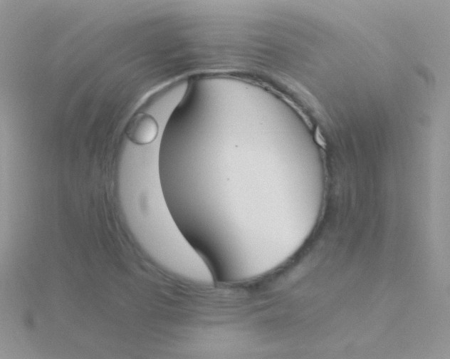 X0000115301457200911231259