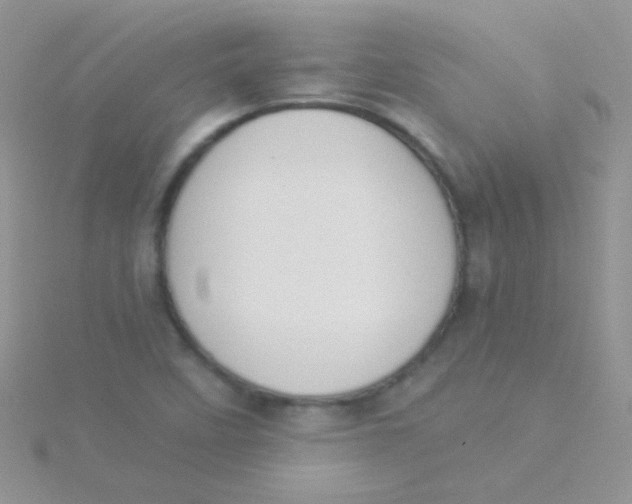 X0000115301458200911231259