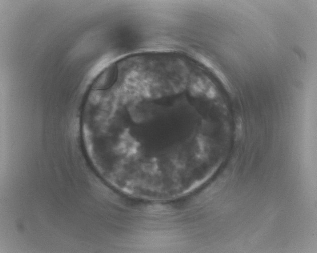 X0000115301459200911231259