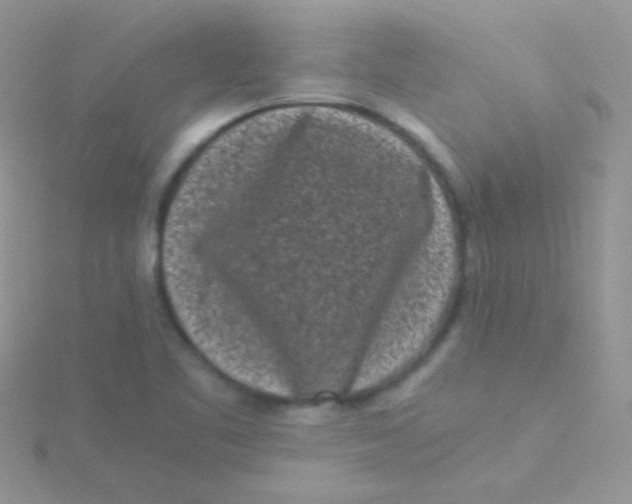 X0000115301461200911231259