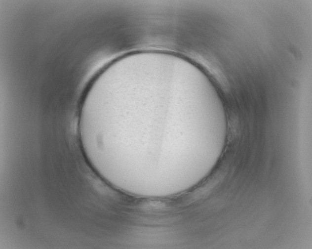 X0000115301462200911231259