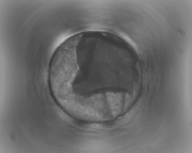 X0000115301463200911231259