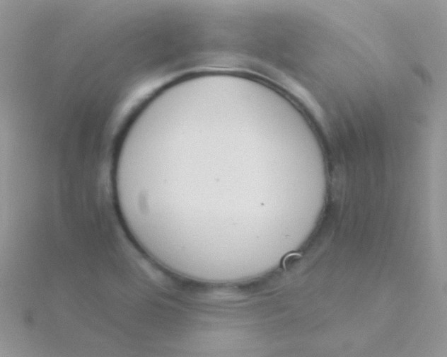 X0000115301464200911231259