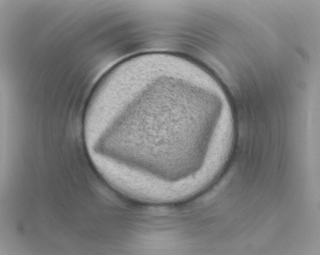 X0000115301465200911231259