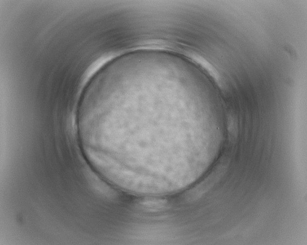 X0000115301466200911231259