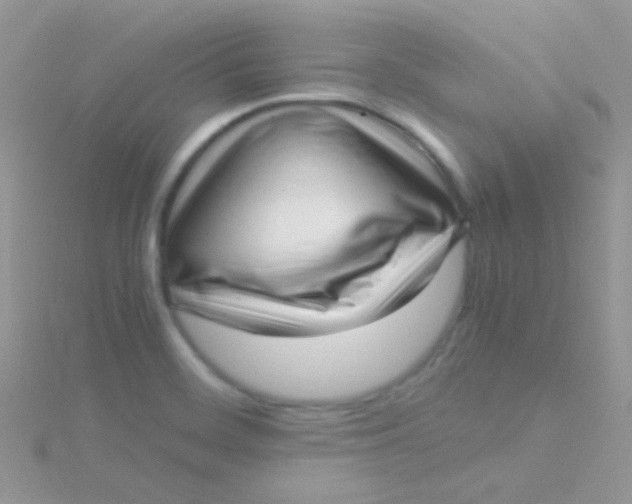 X0000115301468200911231259