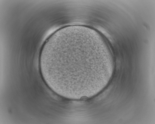 X0000115301469200911231259