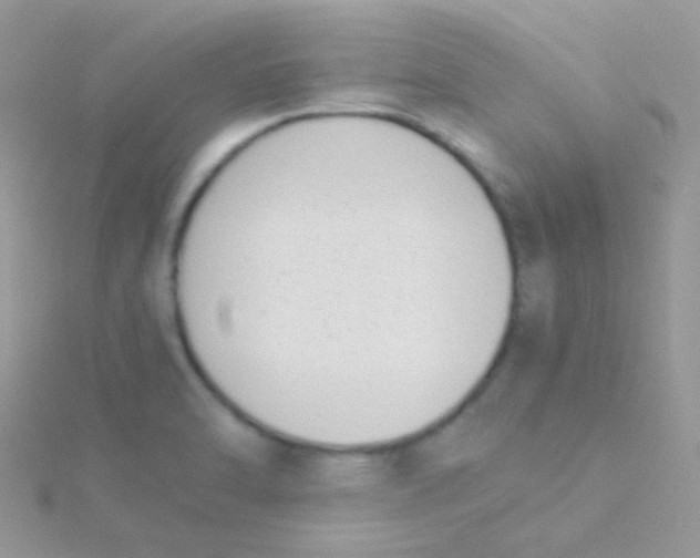 X0000115301470200911231259