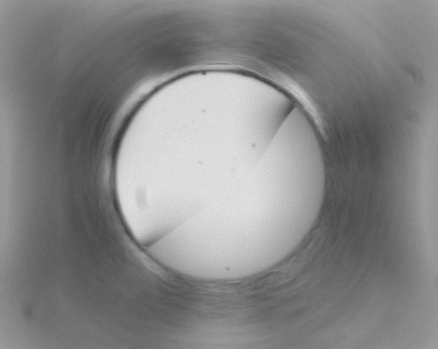 X0000115301472200911231259