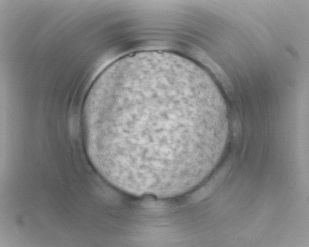 X0000115301473200911231259