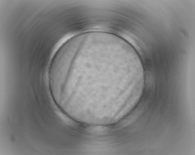 X0000115301474200911231259