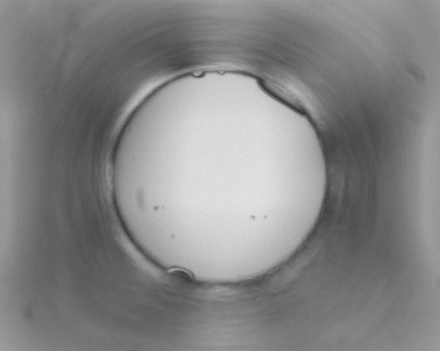 X0000115301476200911231259