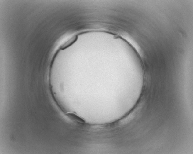 X0000115301477200911231259