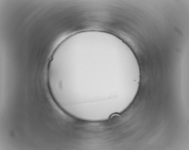 X0000115301479200911231259