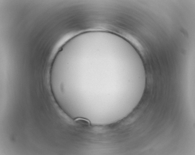 X0000115301480200911231259