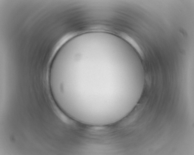 X0000115301482200911231259