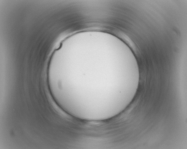 X0000115301483200911231259