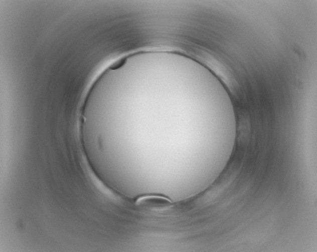 X0000115301484200911231259