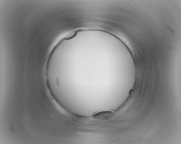 X0000115301485200911231259