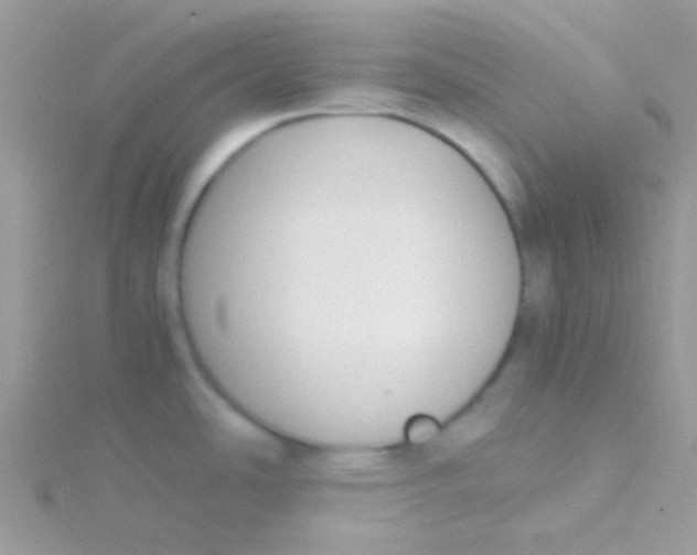 X0000115301486200911231259