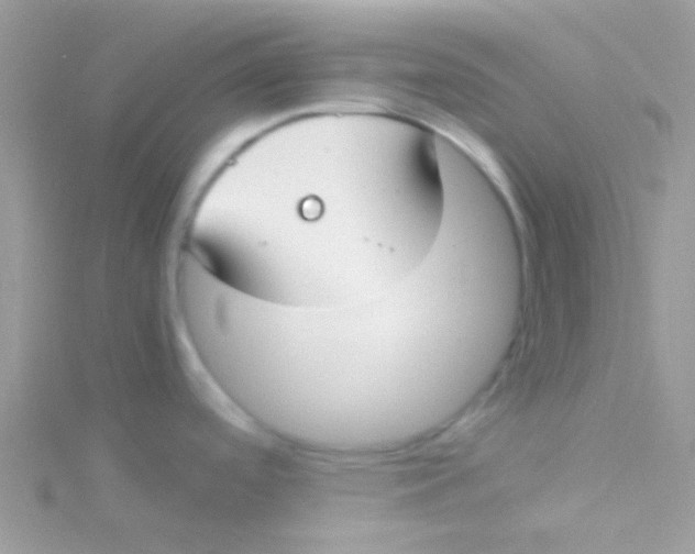 X0000115301488200911231259