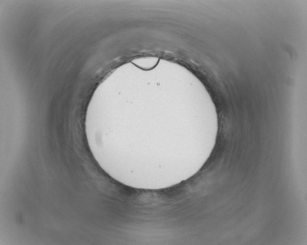 X0000115301489200911231258