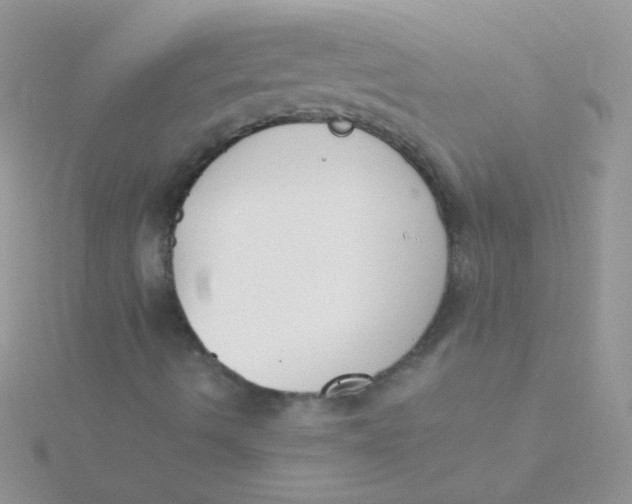 X0000115301490200911231258