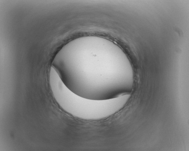 X0000115301493200911231258