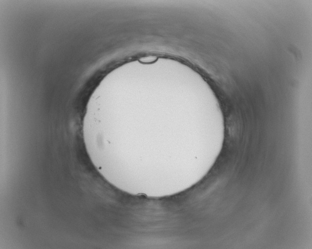 X0000115301495200911231258