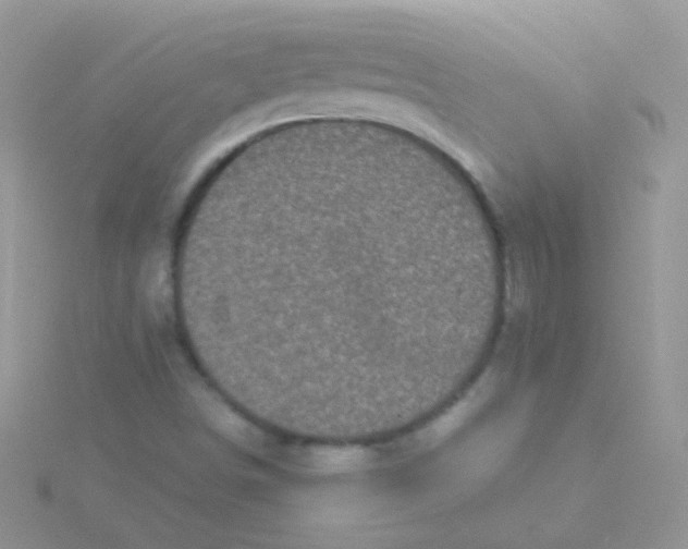 X0000115301498200911231258