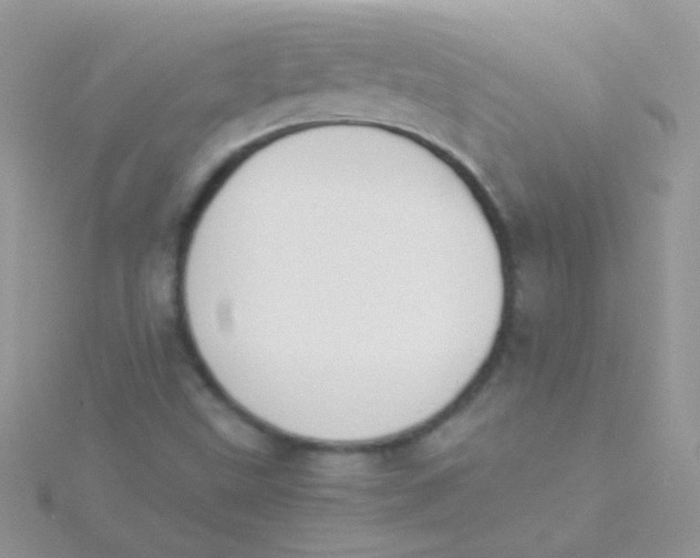 X0000115301499200911231258