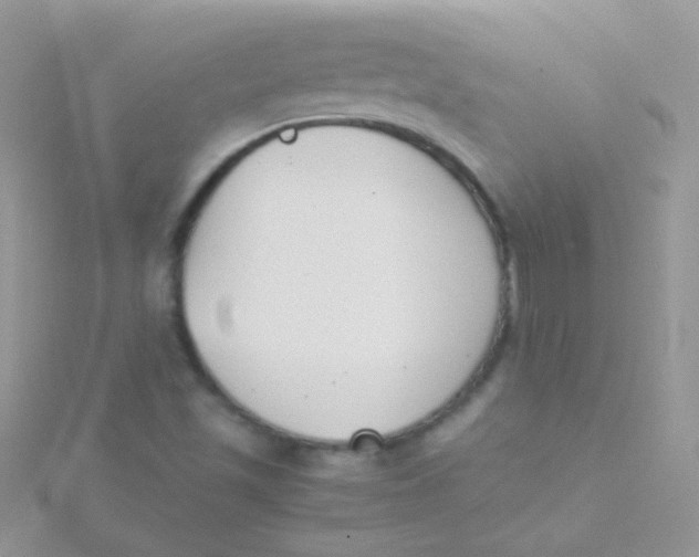 X0000115301501200911231258