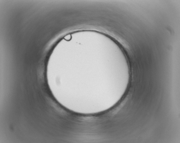 X0000115301502200911231258