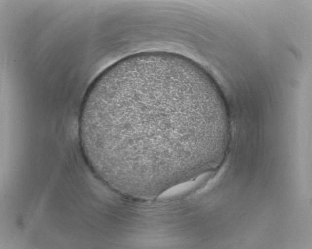 X0000115301505200911231258