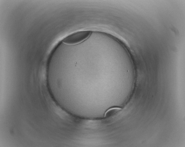 X0000115301506200911231258