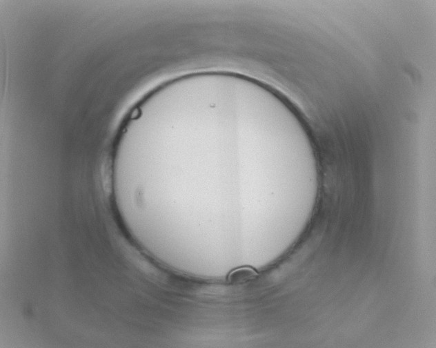 X0000115301510200911231259