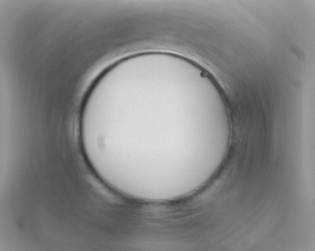 X0000115301511200911231259