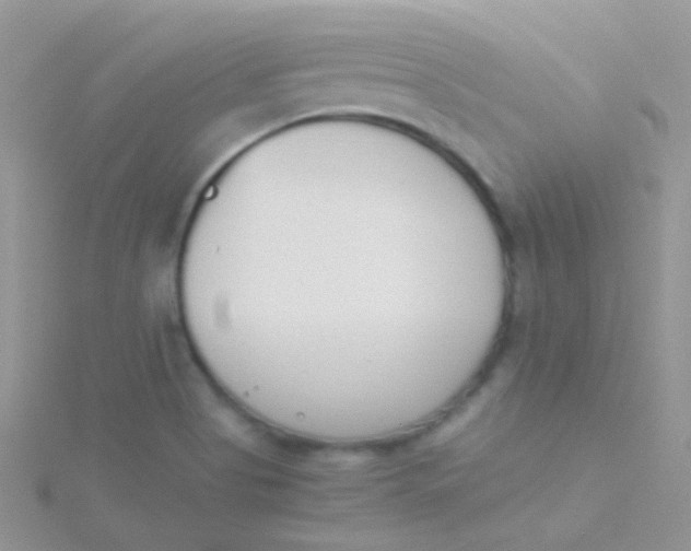 X0000115301513200911231259