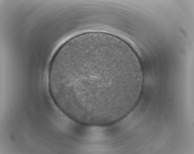 X0000115301514200911231259