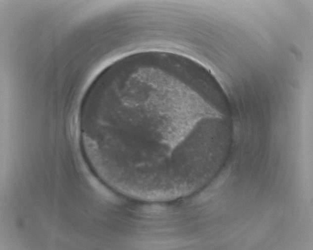 X0000115301515200911231259