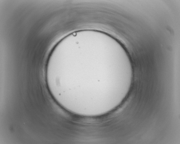 X0000115301517200911231259