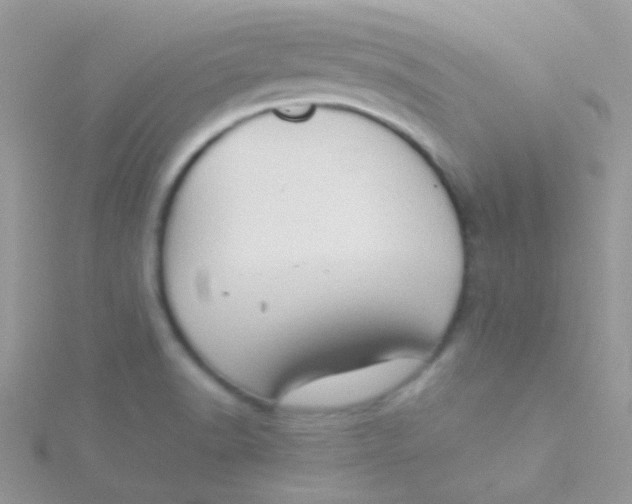 X0000115301518200911231259