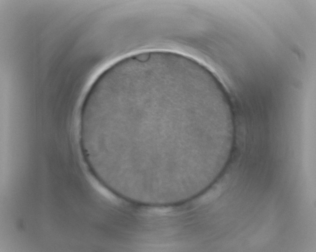 X0000115301519200911231259