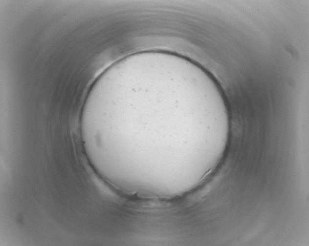 X0000115301521200911231259