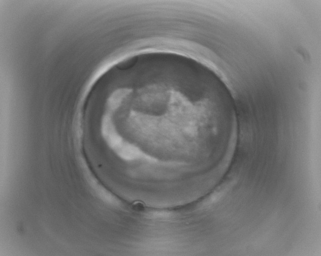 X0000115301522200911231259