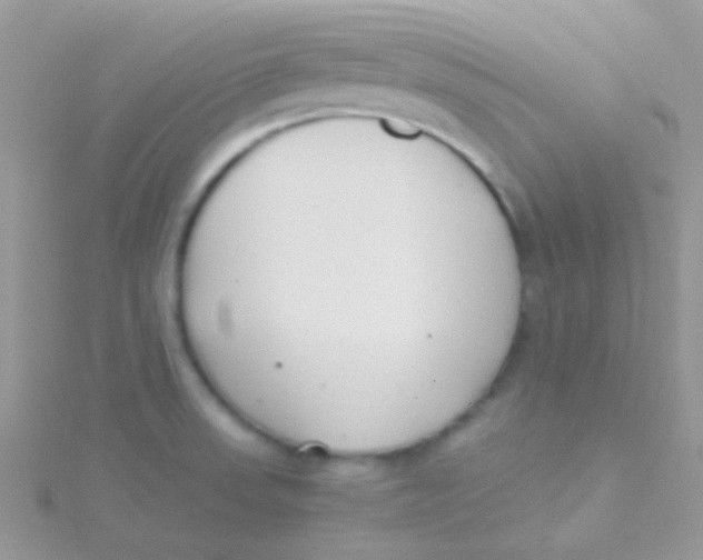 X0000115301523200911231259