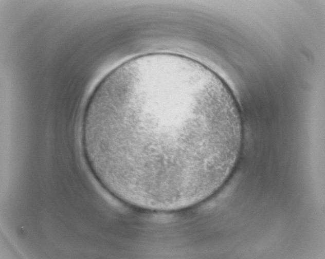 X0000115301525200911231259